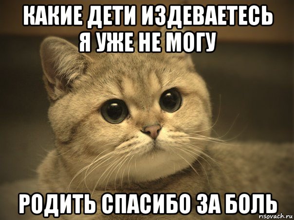 какие дети издеваетесь я уже не могу родить спасибо за боль, Мем Пидрила ебаная котик