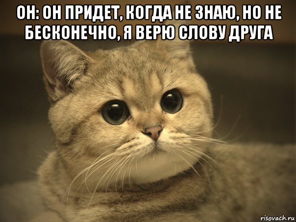 он: он придет, когда не знаю, но не бесконечно, я верю слову друга , Мем Пидрила ебаная котик