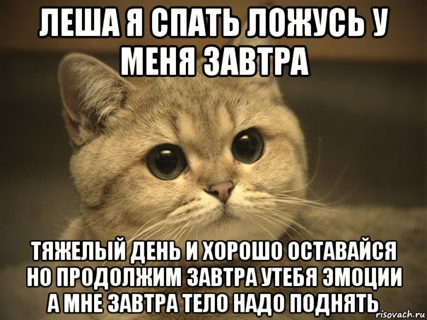 леша я спать ложусь у меня завтра тяжелый день и хорошо оставайся но продолжим завтра утебя эмоции а мне завтра тело надо поднять, Мем Пидрила ебаная котик