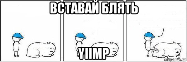 вставай блять yiimp, Мем Пинок