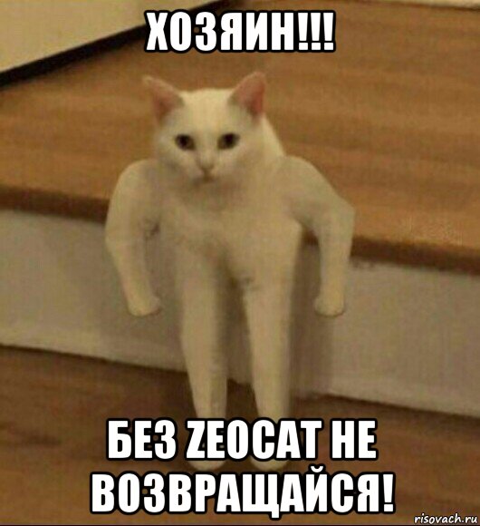 хозяин!!! без zeocat не возвращайся!, Мем  Полукот