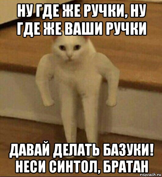 ну где же ручки, ну где же ваши ручки давай делать базуки! неси синтол, братан, Мем  Полукот