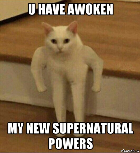 u have awoken my new supernatural powers, Мем  Полукот