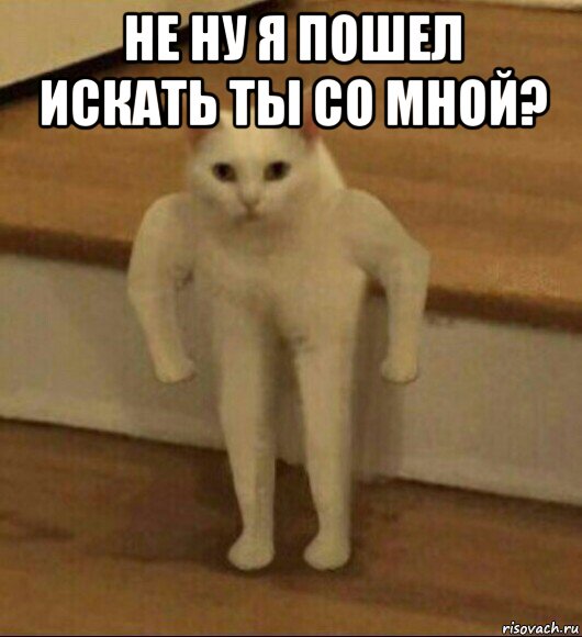 не ну я пошел искать ты со мной? , Мем  Полукот