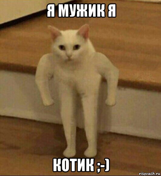 я мужик я котик ;-), Мем  Полукот