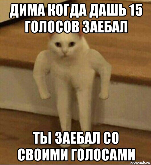 дима когда дашь 15 голосов заебал ты заебал со своими голосами, Мем  Полукот