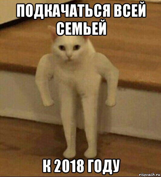 подкачаться всей семьей к 2018 году, Мем  Полукот