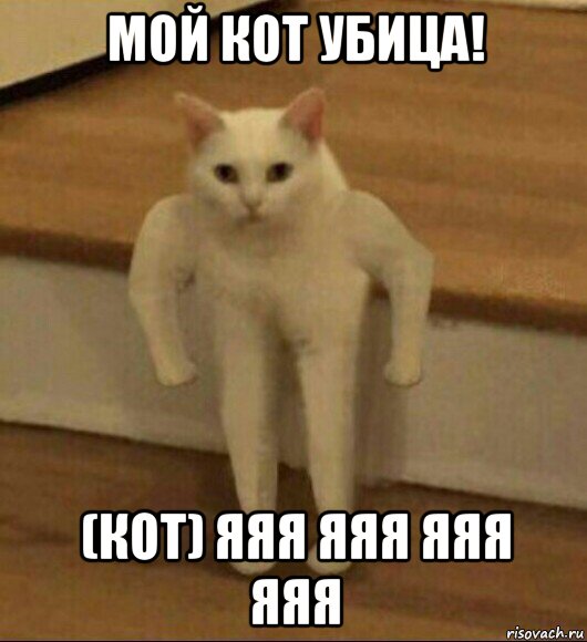 мой кот убица! (кот) яяя яяя яяя яяя, Мем  Полукот