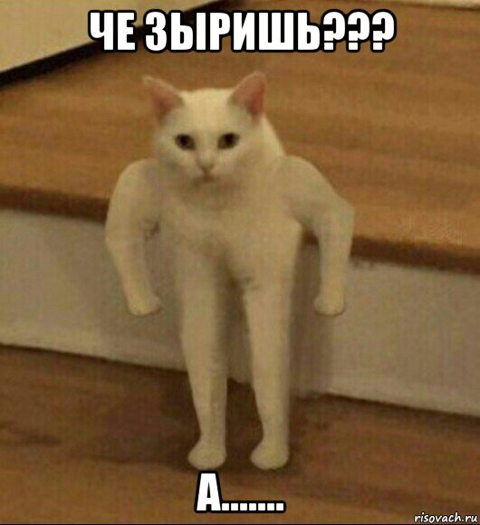 че зыришь??? а......., Мем  Полукот