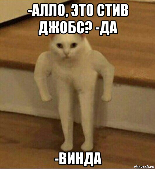 -алло, это стив джобс? -да -винда, Мем  Полукот