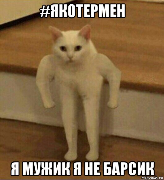 #якотермен я мужик я не барсик, Мем  Полукот