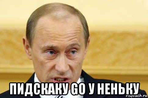  пидскаку go у неньку, Мем путин