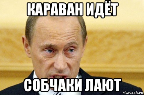 караван идёт собчаки лают, Мем путин