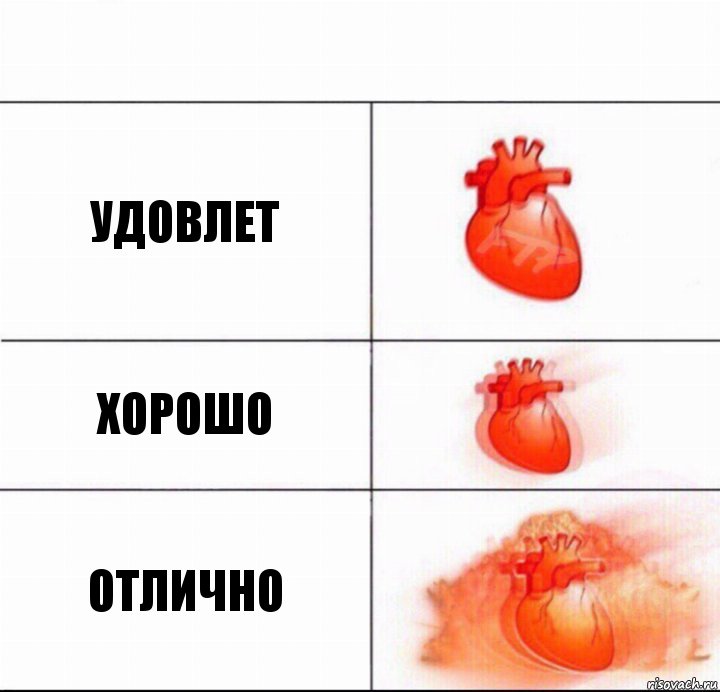 Удовлет хорошо отлично