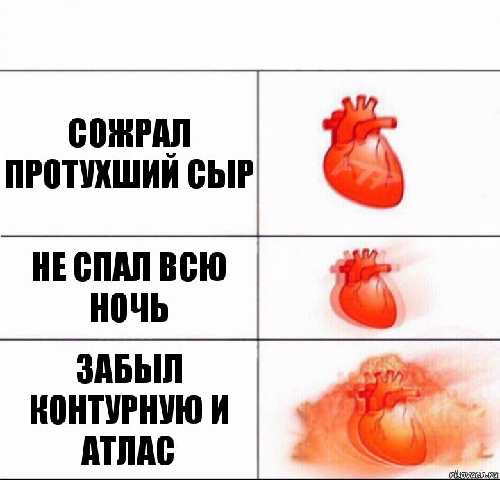 Сожрал протухший сыр Не спал всю ночь Забыл контурную и атлас, Комикс  Расширяюшее сердце