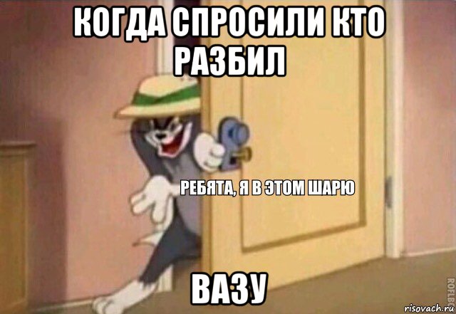 когда спросили кто разбил вазу, Мем    Ребята я в этом шарю