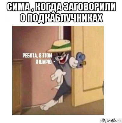 сима , когда заговорили о подкаблучниках , Мем Ребята я в этом шарю