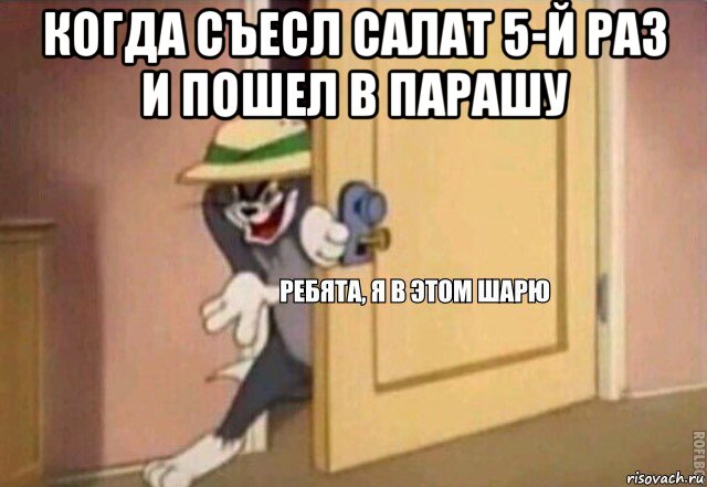 когда съесл салат 5-й раз и пошел в парашу , Мем    Ребята я в этом шарю