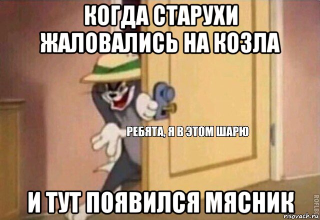 когда старухи жаловались на козла и тут появился мясник, Мем    Ребята я в этом шарю