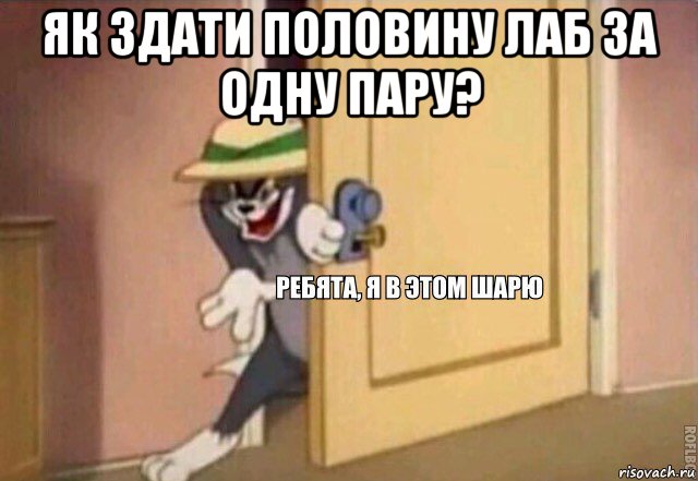 як здати половину лаб за одну пару? , Мем    Ребята я в этом шарю