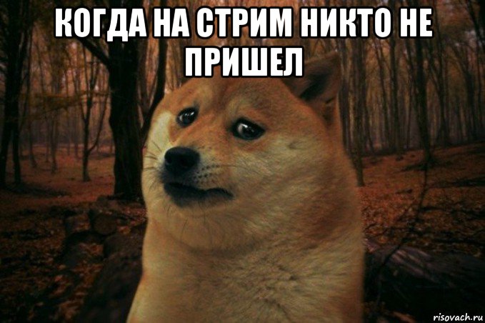 когда на стрим никто не пришел , Мем SAD DOGE