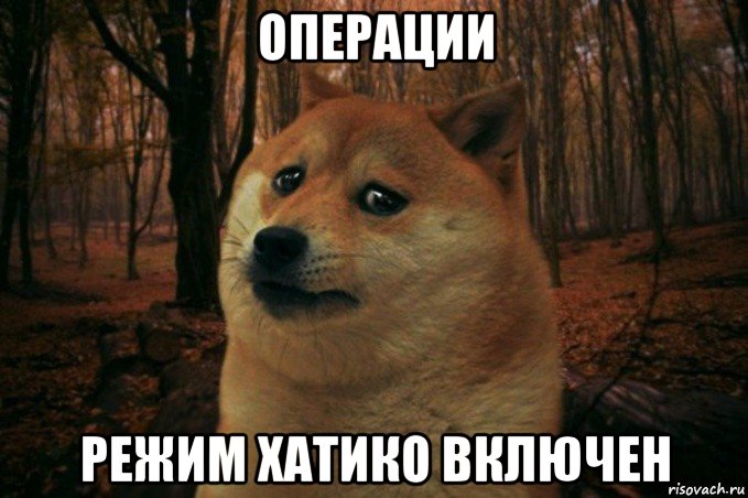 операции режим хатико включен, Мем SAD DOGE