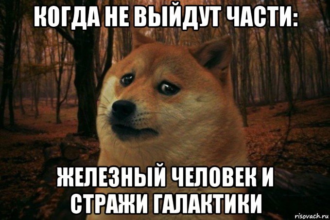 когда не выйдут части: железный человек и стражи галактики, Мем SAD DOGE