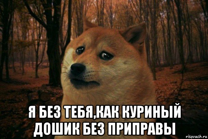  я без тебя,как куриный дошик без приправы, Мем SAD DOGE