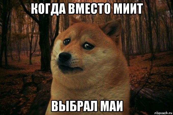 когда вместо миит выбрал маи, Мем SAD DOGE