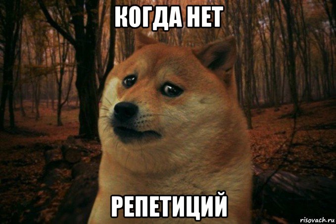 когда нет репетиций, Мем SAD DOGE