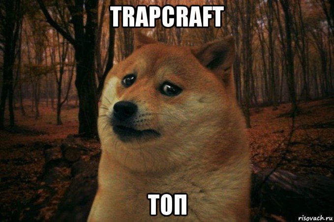 trapcraft топ, Мем SAD DOGE