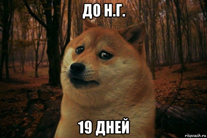 до н.г. 19 дней, Мем SAD DOGE