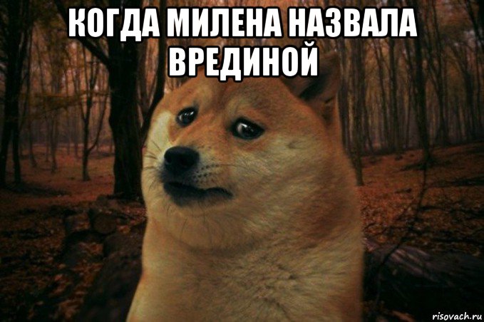 когда милена назвала врединой , Мем SAD DOGE