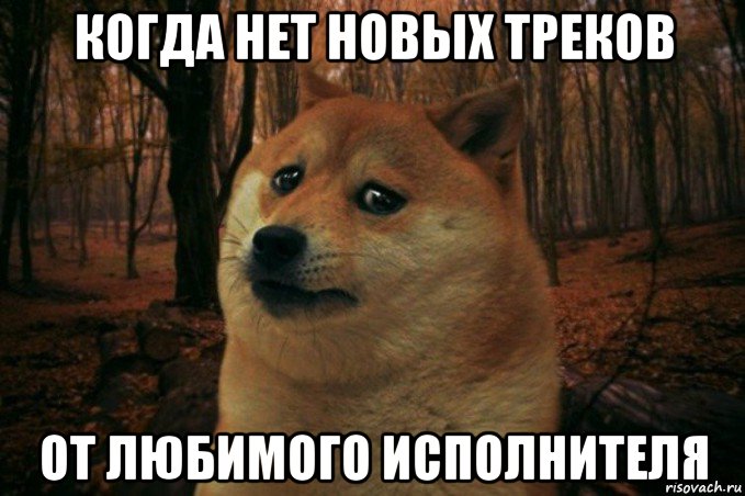 когда нет новых треков от любимого исполнителя, Мем SAD DOGE