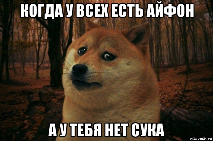 когда у всех есть айфон а у тебя нет сука, Мем SAD DOGE