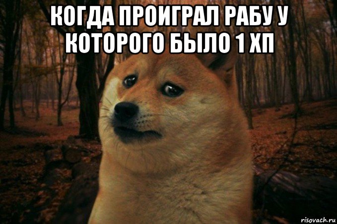 когда проиграл рабу у которого было 1 хп , Мем SAD DOGE