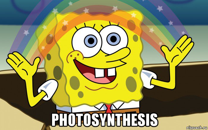  photosynthesis, Мем Спанч Боб радуга