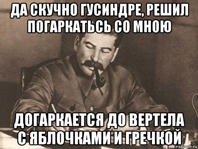 да скучно гусиндре, решил погаркатьсь со мною догаркается до вертела с яблочками и гречкой, Мем Сталин