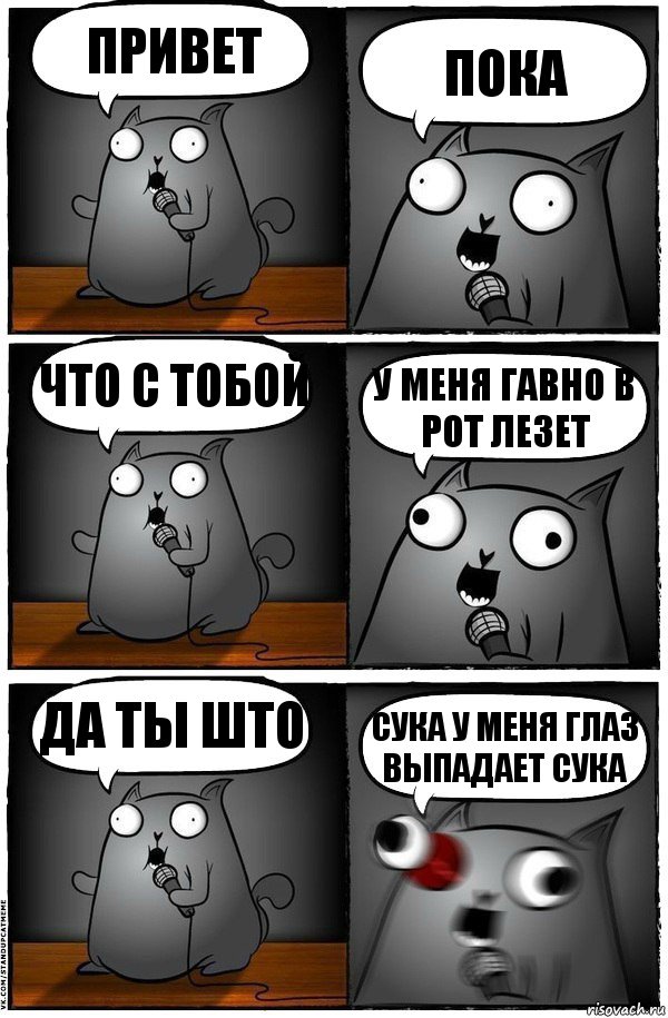 привет пока что с тобой у меня гавно в рот лезет да ты што сука у меня глаз выпадает сука, Комикс  Стендап-кот