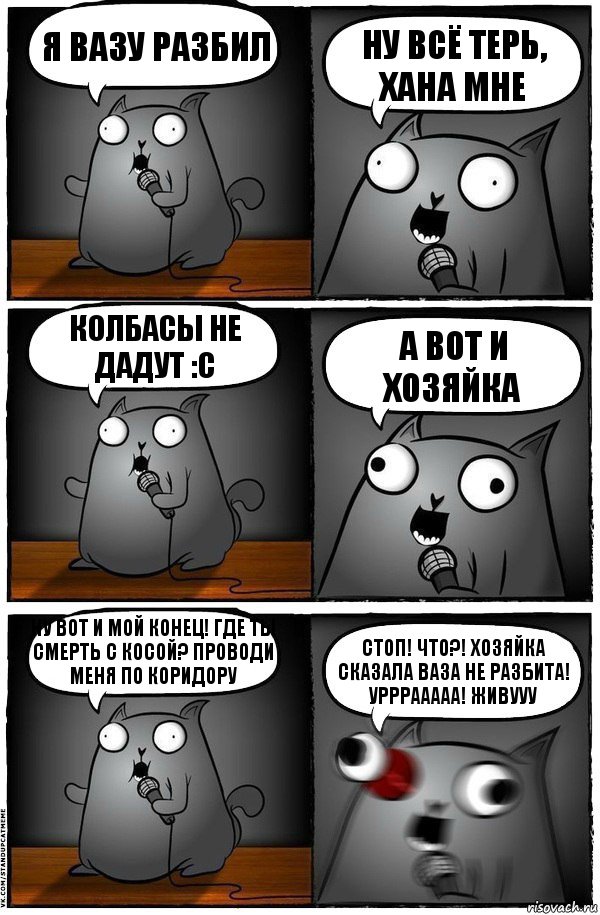 Я вазу разбил Ну всё терь, хана мне колбасы не дадут :с А вот и хозяйка Ну вот и мой конец! Где ты смерть с косой? Проводи меня по коридору Стоп! Что?! Хозяйка сказала ваза не разбита! Урррааааа! Живууу, Комикс  Стендап-кот