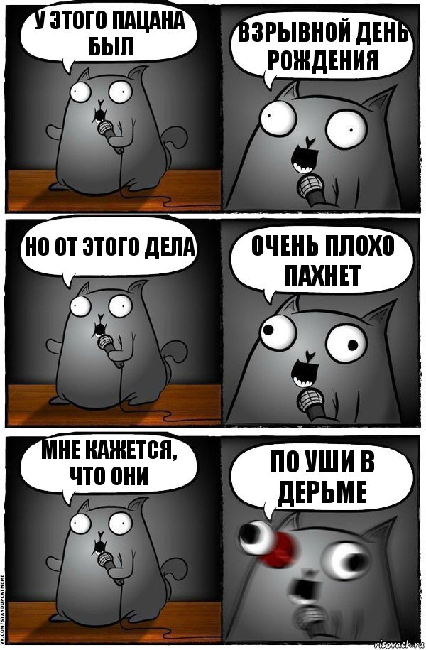 У этого пацана был Взрывной день рождения Но от этого дела Очень плохо пахнет Мне кажется, что они По уши в дерьме, Комикс  Стендап-кот