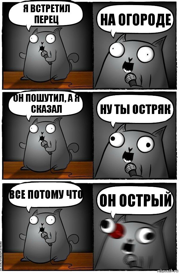 Я встретил перец На огороде Он пошутил, а я сказал Ну ты остряк Все потому что Он острый, Комикс  Стендап-кот