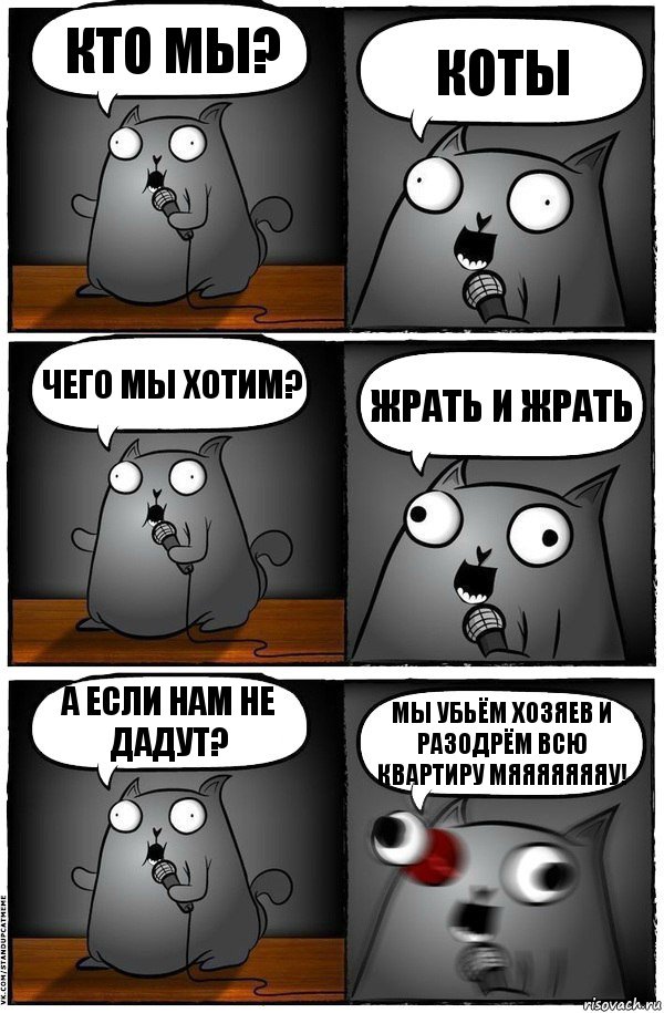 кто мы? Коты Чего мы хотим? Жрать и жрать а если нам не дадут? Мы убьём хозяев и разодрём всю квартиру мяяяяяяяу!, Комикс  Стендап-кот