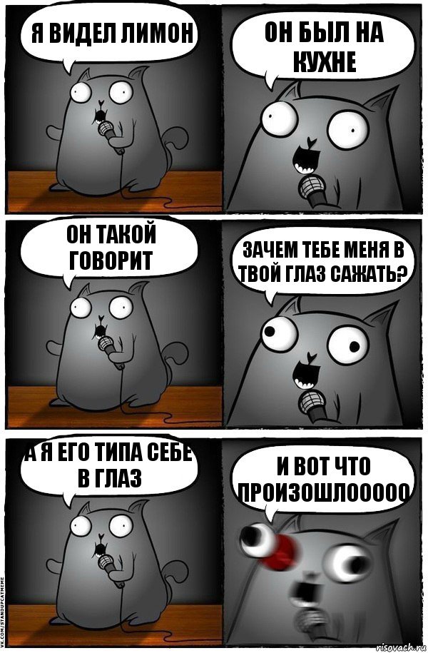 Я видел лимон ОН БЫЛ НА КУХНЕ он такой говорит зачем тебе меня в твой глаз сажать? а я его типа себе в глаз и вот что произошлооооо, Комикс  Стендап-кот