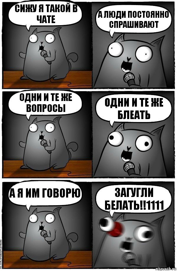 Сижу я такой в чате А люди постоянно спрашивают Одни и те же вопросы Одни и те же блеать А я им говорю загугли белать!!1111, Комикс  Стендап-кот