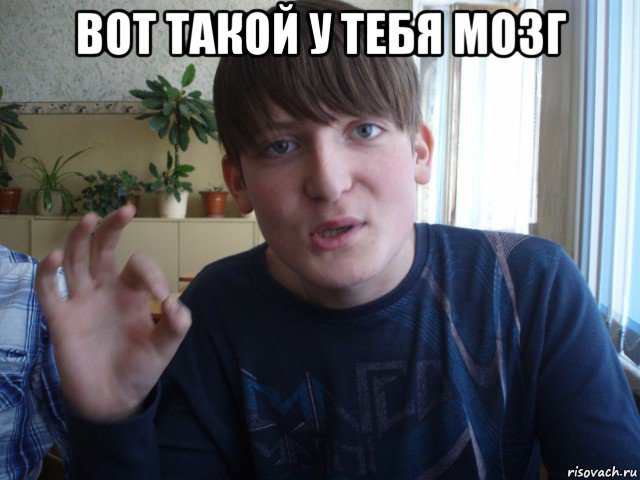 вот такой у тебя мозг , Мем stevaner