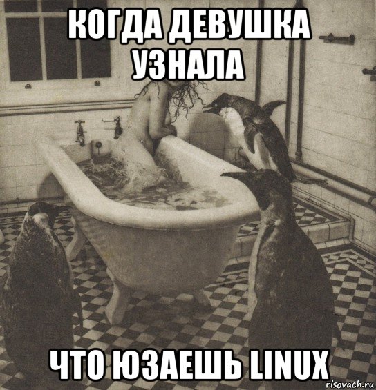 когда девушка узнала что юзаешь linux, Мем Столбняк