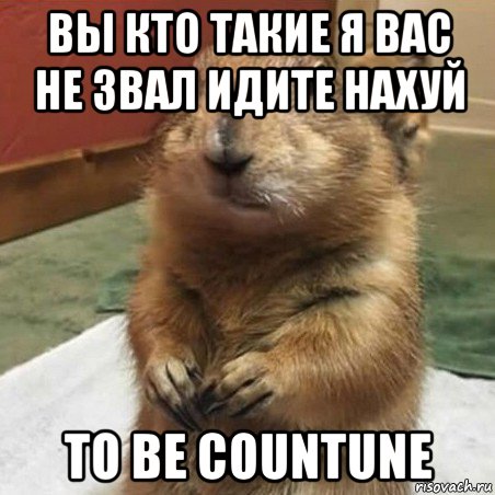 вы кто такие я вас не звал идите нахуй to be countune, Мем Суслик спрашивает