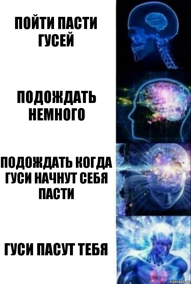 Пойти пасти гусей Подождать немного Подождать когда гуси начнут себя пасти Гуси пасут тебя, Комикс  Сверхразум