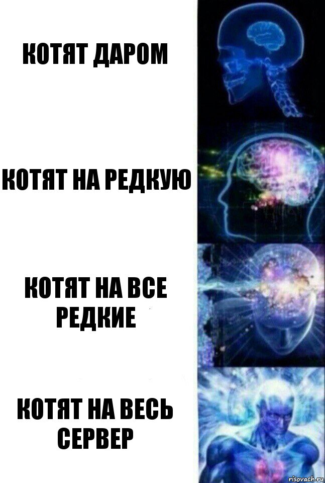 Котят даром Котят на редкую Котят на все редкие Котят на весь сервер, Комикс  Сверхразум